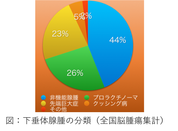 下垂体腺腫の分類