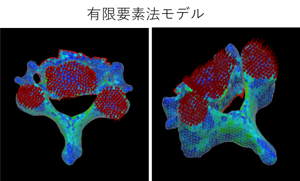 有限要素法モデル