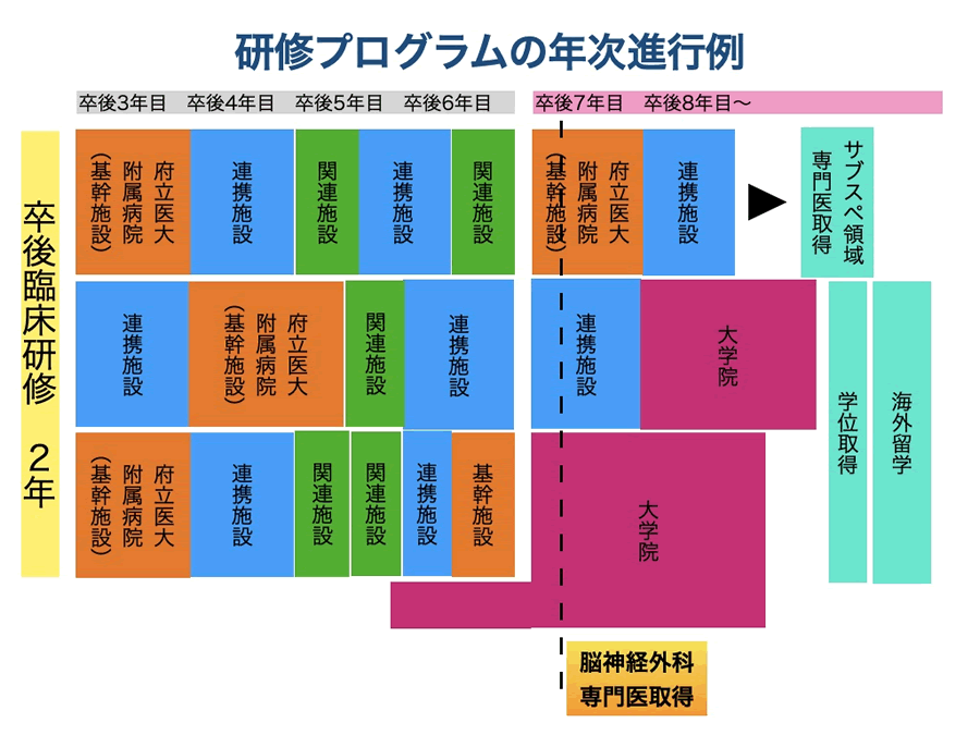 研修プログラムの年次進行表